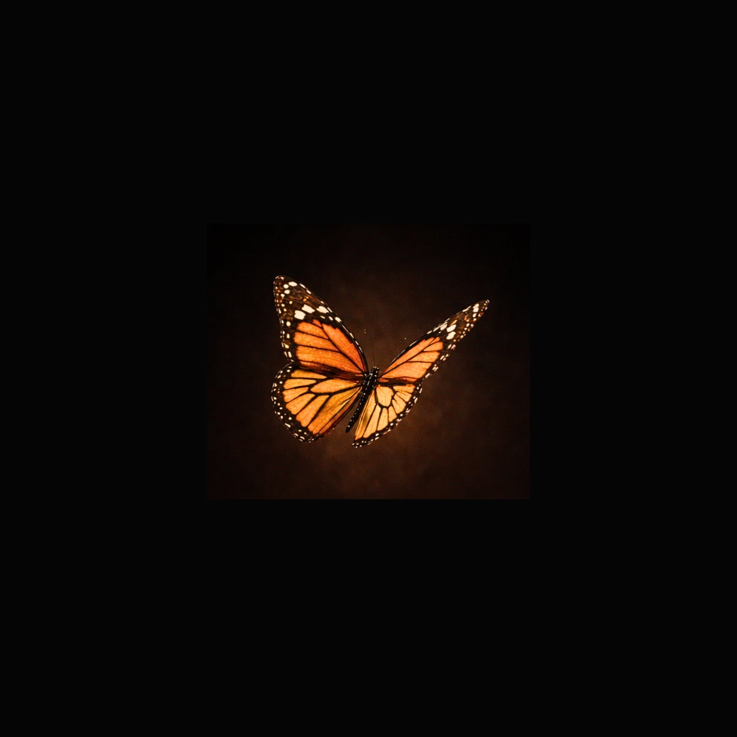 Wings of Freedom