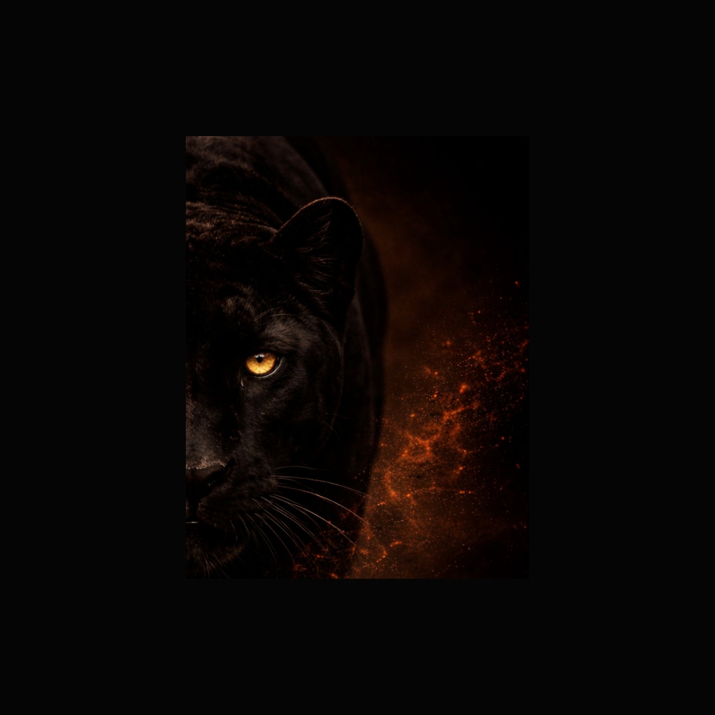 Obsidian Panther