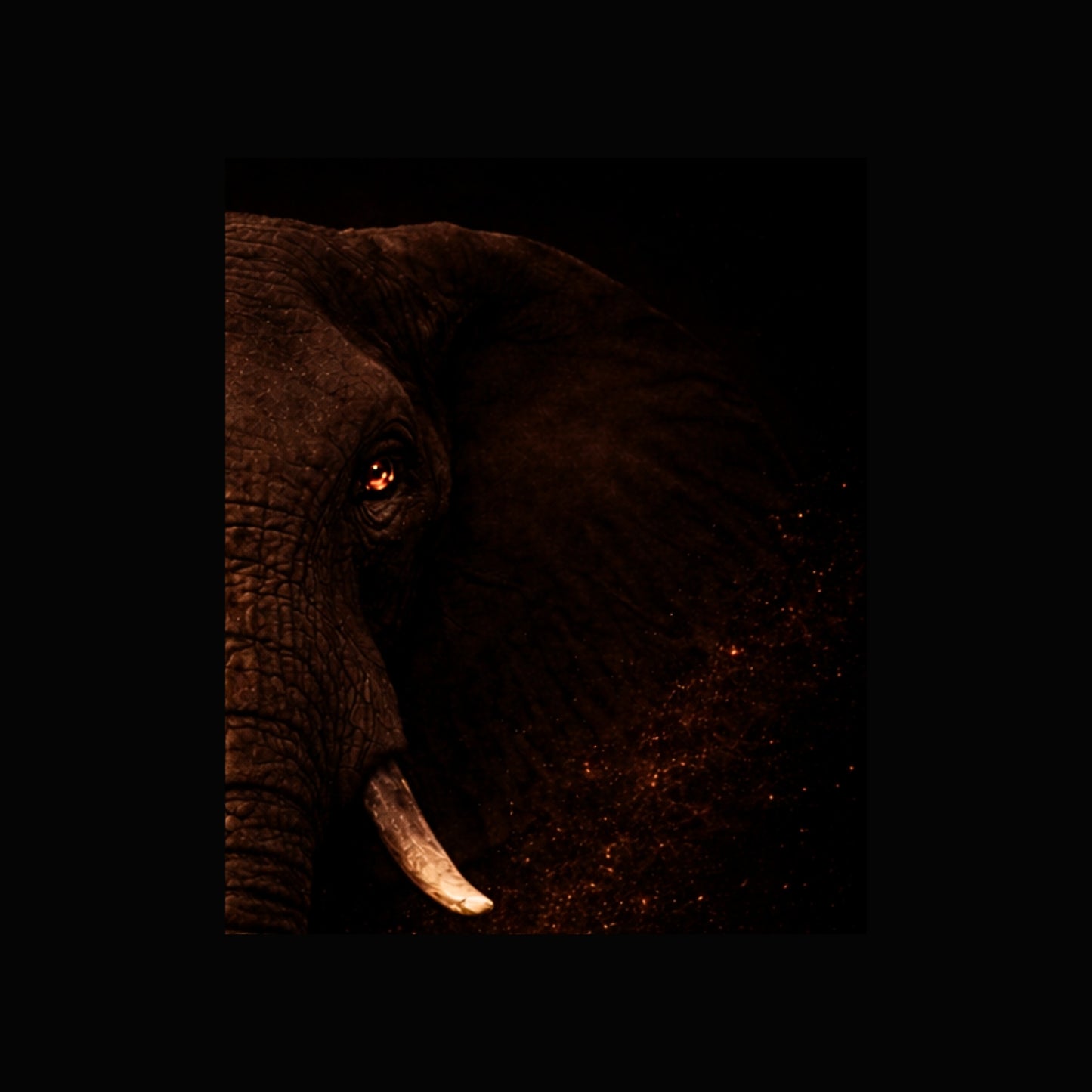 Obsidian Elephant